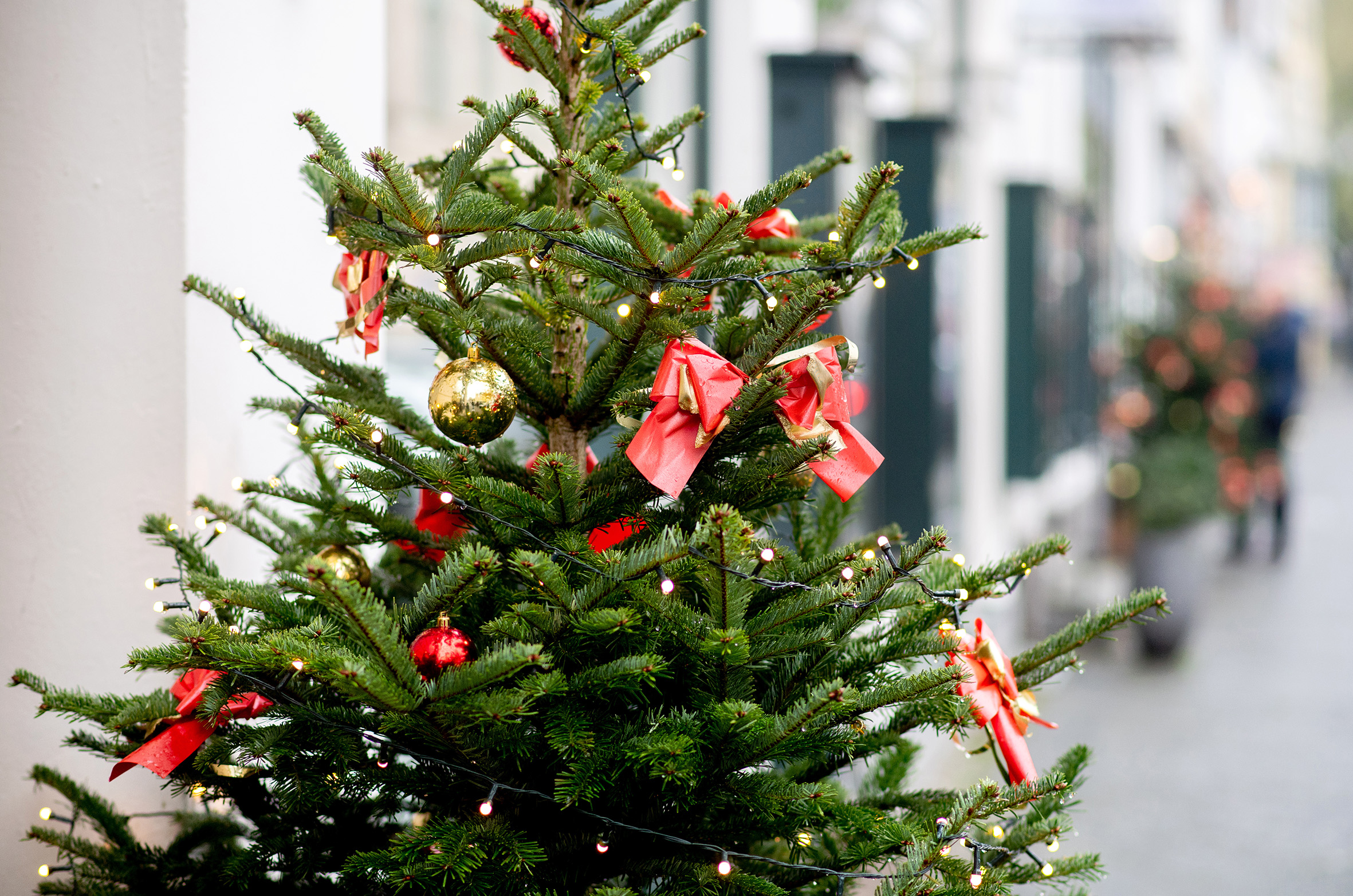 Árvores de Natal para Ambientes Sociais