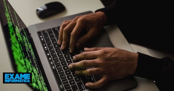 NordVPN e os perigos online: Malware em páginas porno, rastreadores em sites de alojamento de vídeos