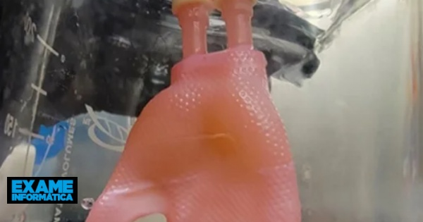 Investigadores imprimem enxertos de pele em 3D