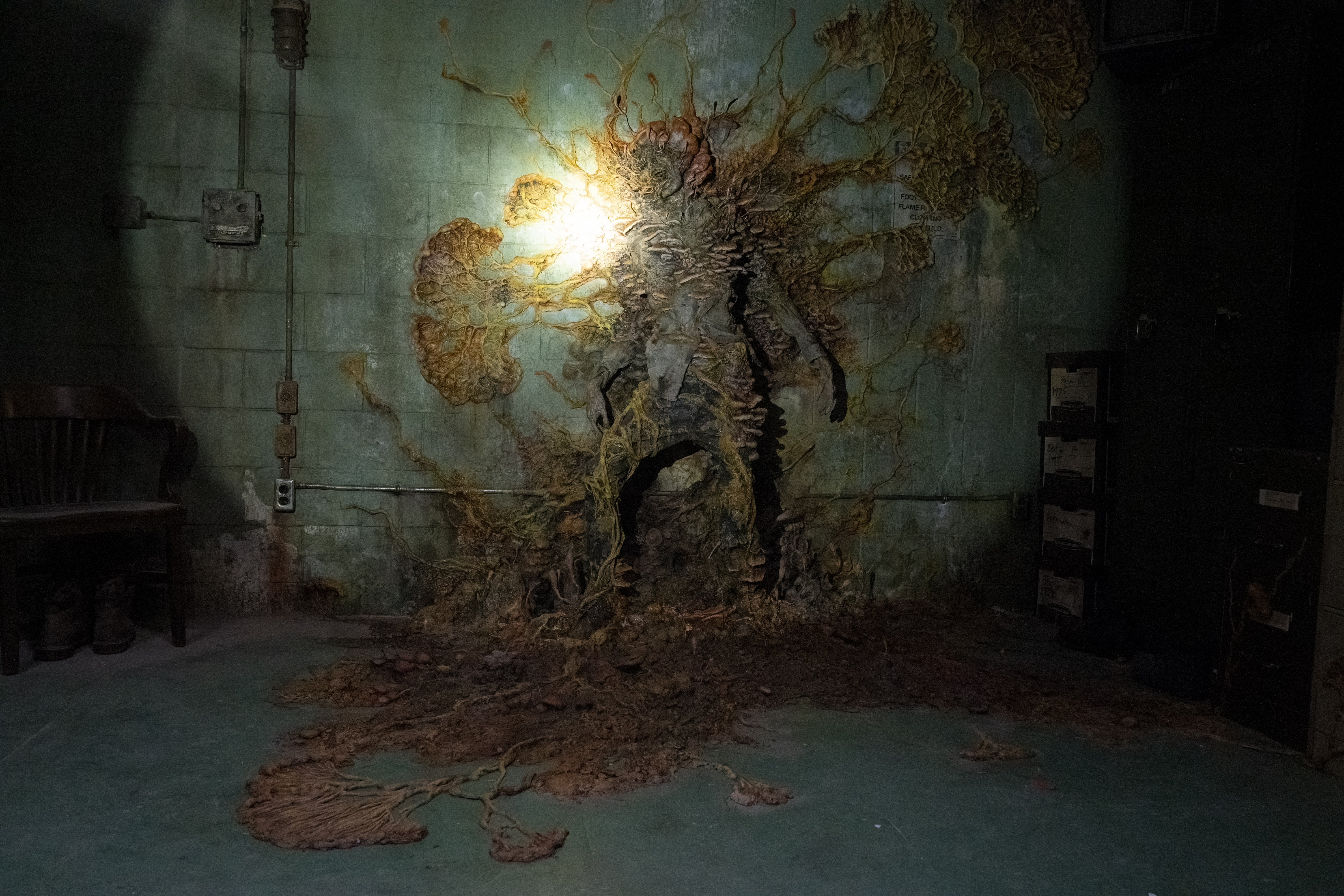 The Last of Us: fungo ''zumbi'' da série existe na vida real