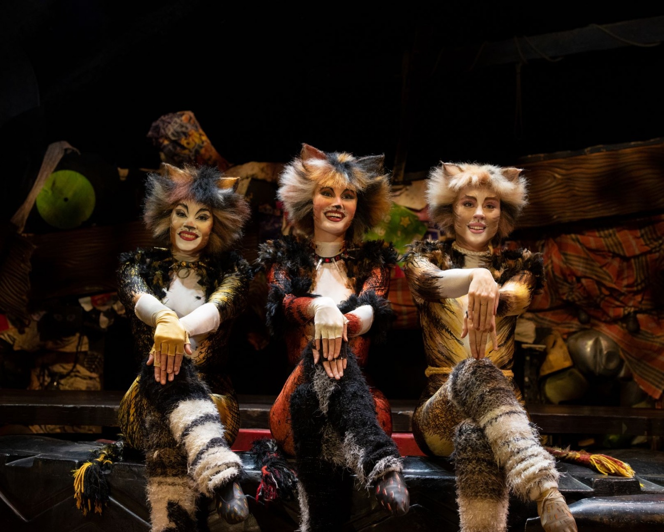 Visão  Musical Cats, em Lisboa e no Porto: A tribo Jellicle está de volta