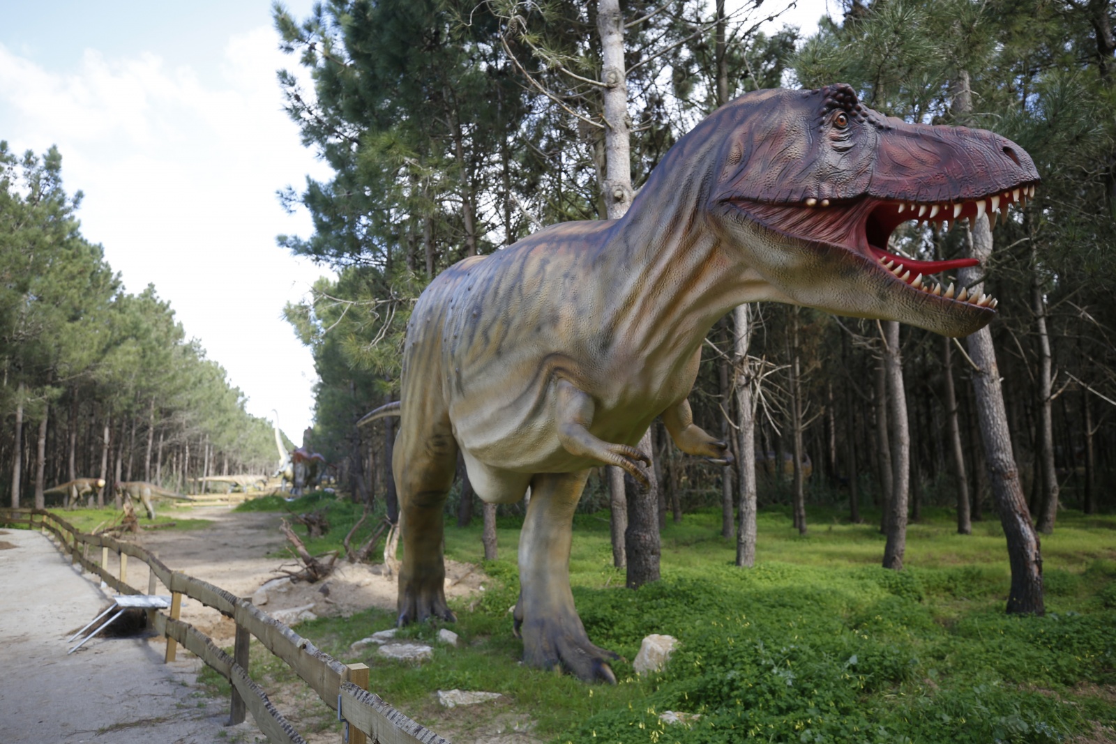 Convite A festa de aniversário T-Rex Dino da escavação do