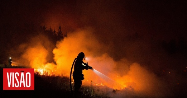 Sube a 13 el número de muertos por incendios en Chile