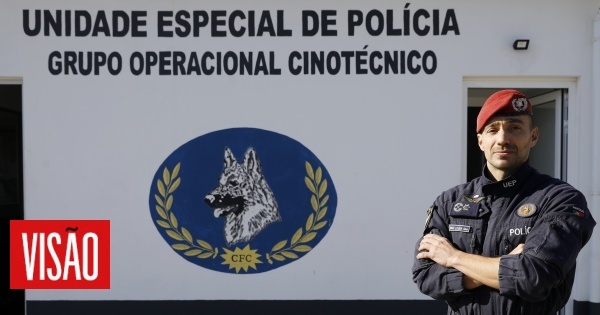 Tiago Lousa, comandante do Grupo Operacional Cinotécnico: 