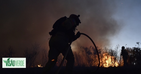 Bomberos alemanes aprenden a combatir incendios forestales en Vila Real