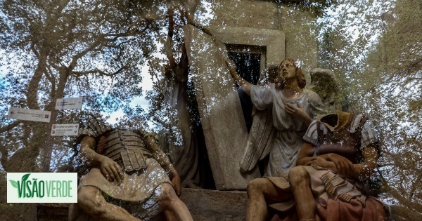 Mata do Bussaco revela recriação completa da cidade Santa de Jerusalém