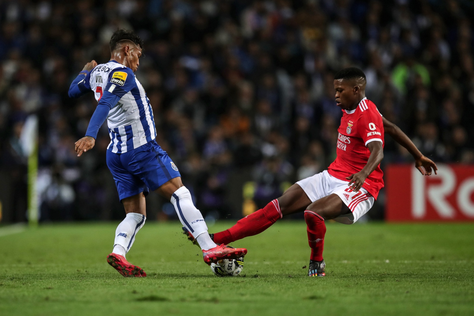 Roger Schmidt espera um Benfica a jogar bem novamente já contra o Casa Pia