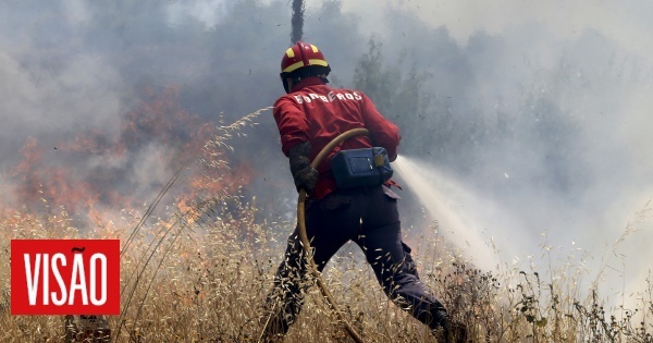 Visão Vinte Concelhos De Quatro Distritos Do País Em Perigo Muito Elevado De Incêndio 9771