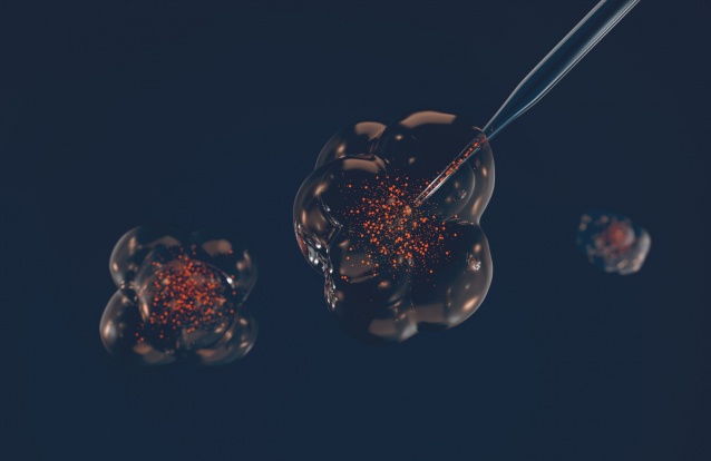 longevidade-institut-esthederm