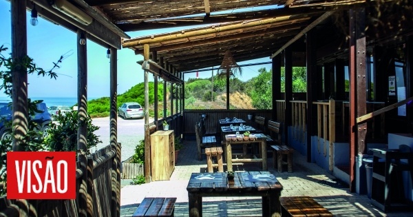 Costa Alentejana: Dez paragens gastronómicas