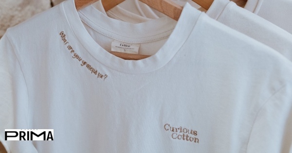 Curious Cotton: quando a moda entra no bem-estar emocional