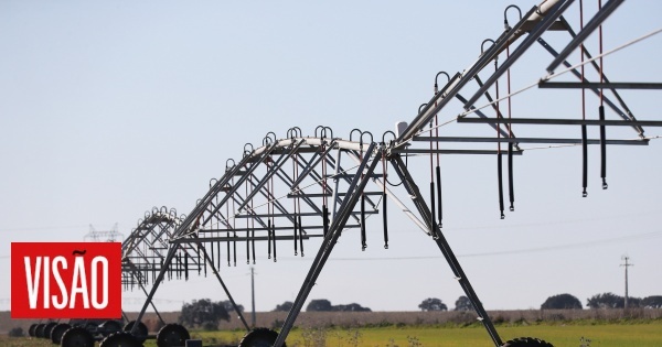 Alqueva vai fornecer mais 30 milhões de metros cúbicos de água para rega devido à seca