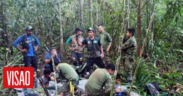 Quatro crianças, incluindo um bebé de 11 meses, encontradas na selva da Colômbia 40 dias após queda de avião
