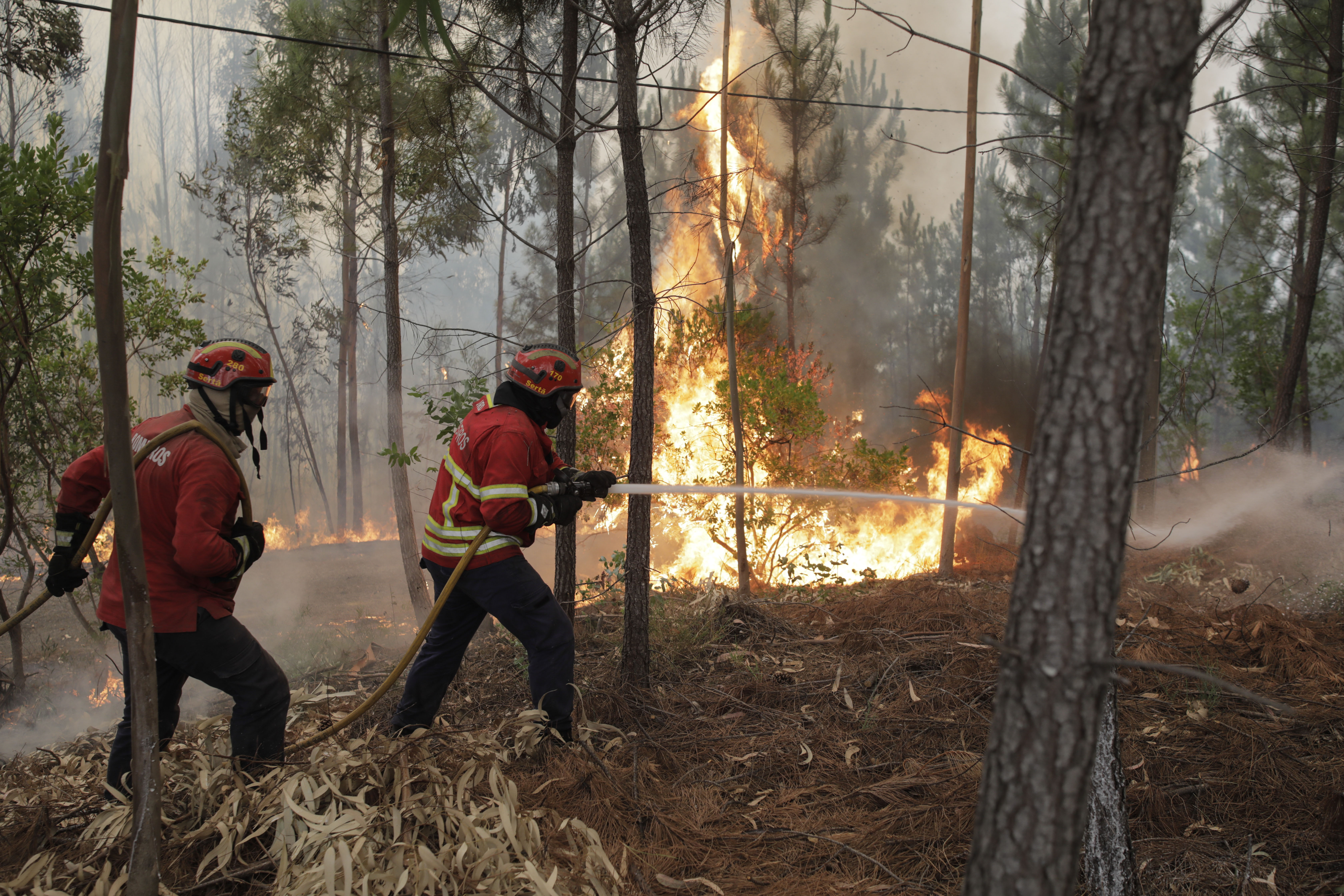 Avó de bombeiro que combateu incêndio na Santa Casa estava