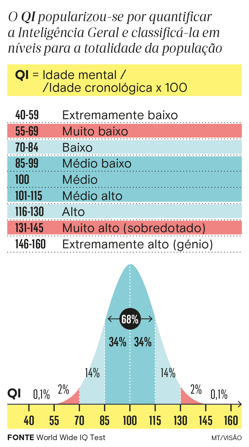 Teste de QI de Einstein – Somente 2% da população mundial conseguem  resolvê-lo em 2023