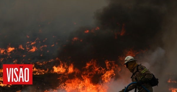 GNR deteve 61 pessoas pelo crime de incêndio florestal e registou 2.567 contraordenações este ano