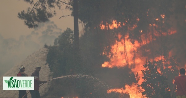 Portugal registou 7.097 fogos até setembro