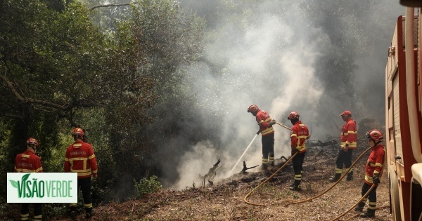 Proteção Civil reforça meios de combate aos incêndios na primeira quinzena de outubro