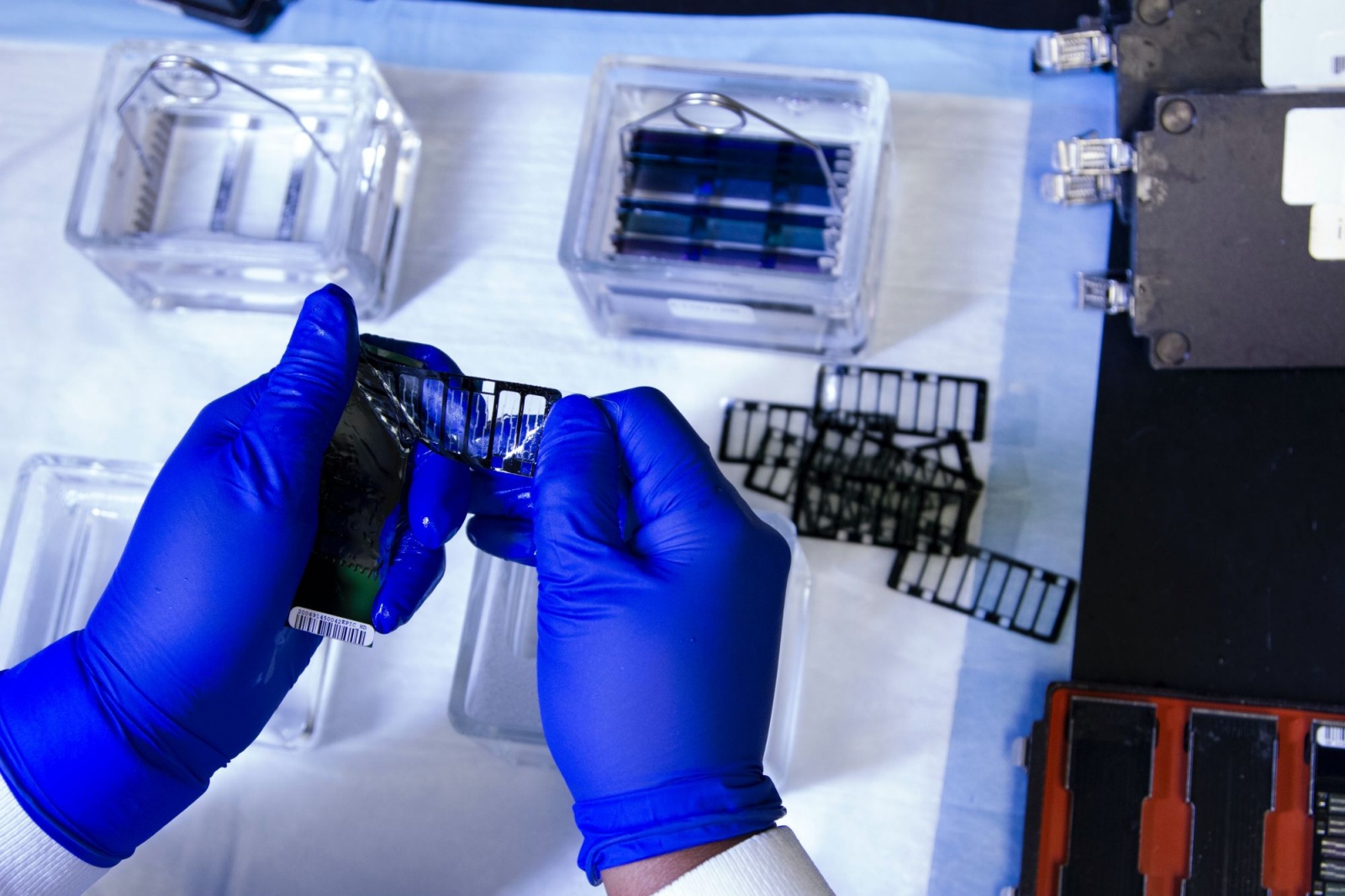 Biotecnologia