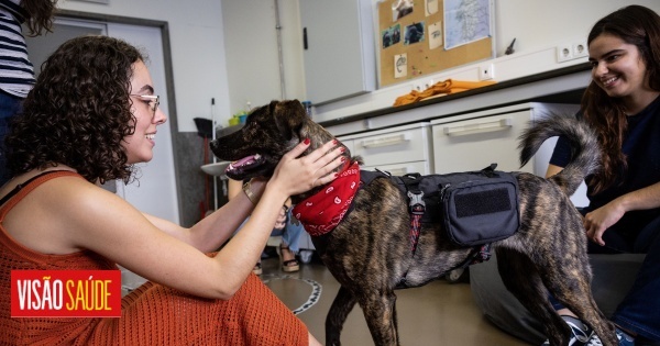 Cadela Lola estreia apoio a universitários para prevenir doença mental