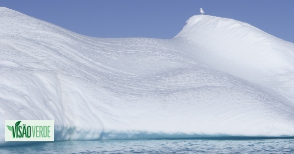 Maior icebergue do mundo está “à solta” pela Antártida