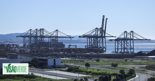 Operação Infuencer: A aposta em Sines de um campeão de hidrogénio 'verde' na Europa