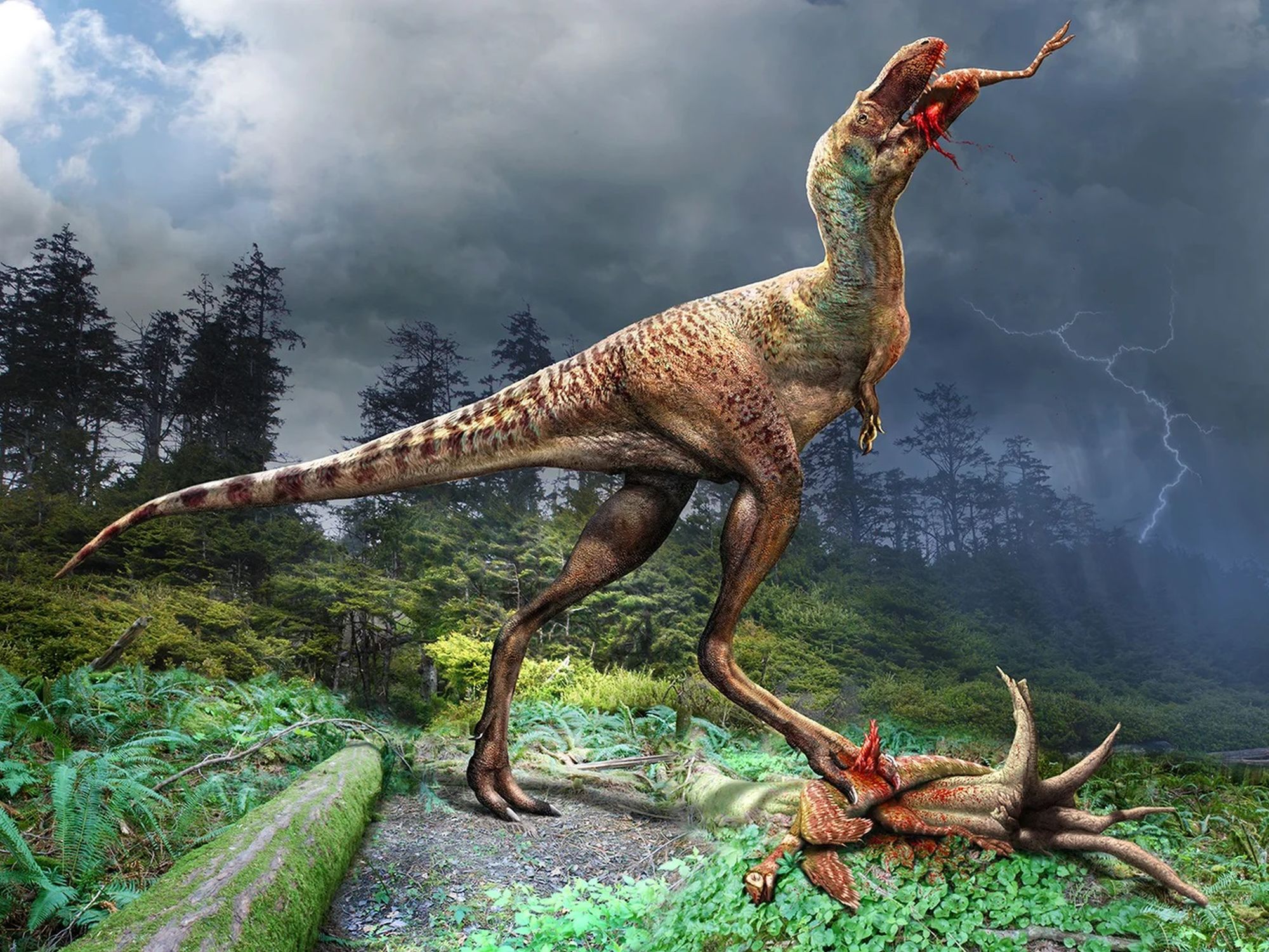 Novo estudo mostra como eram lábios e dentes do Tiranossauro Rex, Ciência