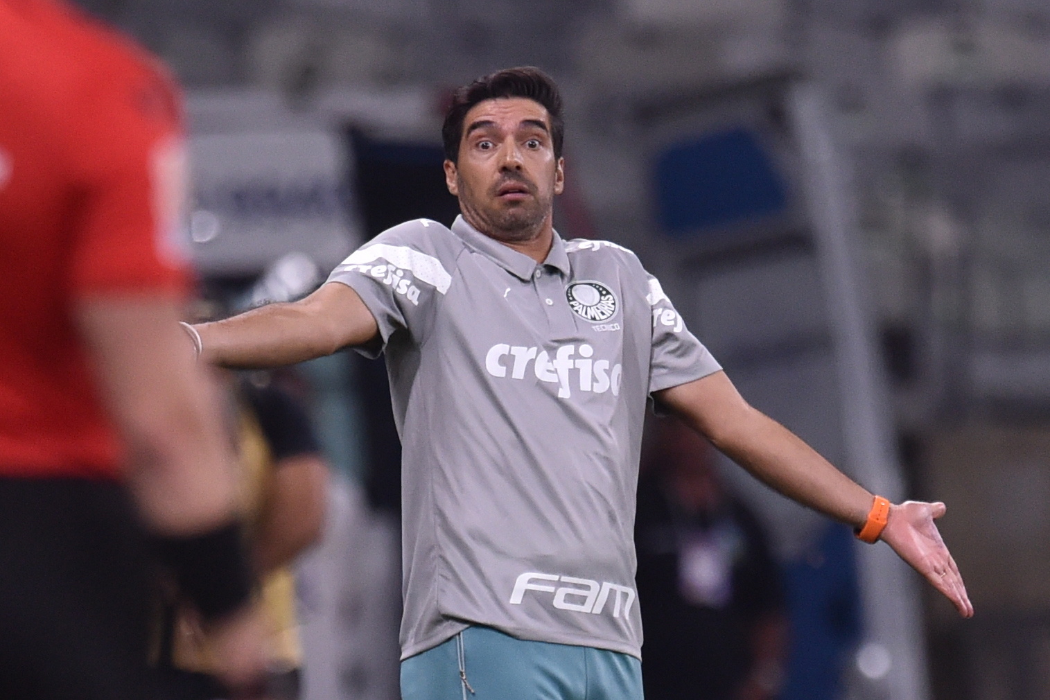 Palmeiras de Abel Ferreira bicampeão brasileiro de futebol