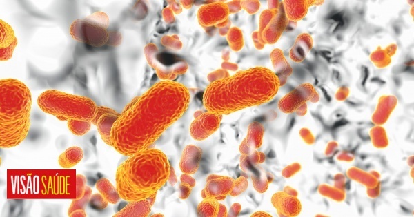 Novo antibiótico pode travar bactéria multirresistente, defendem estudos