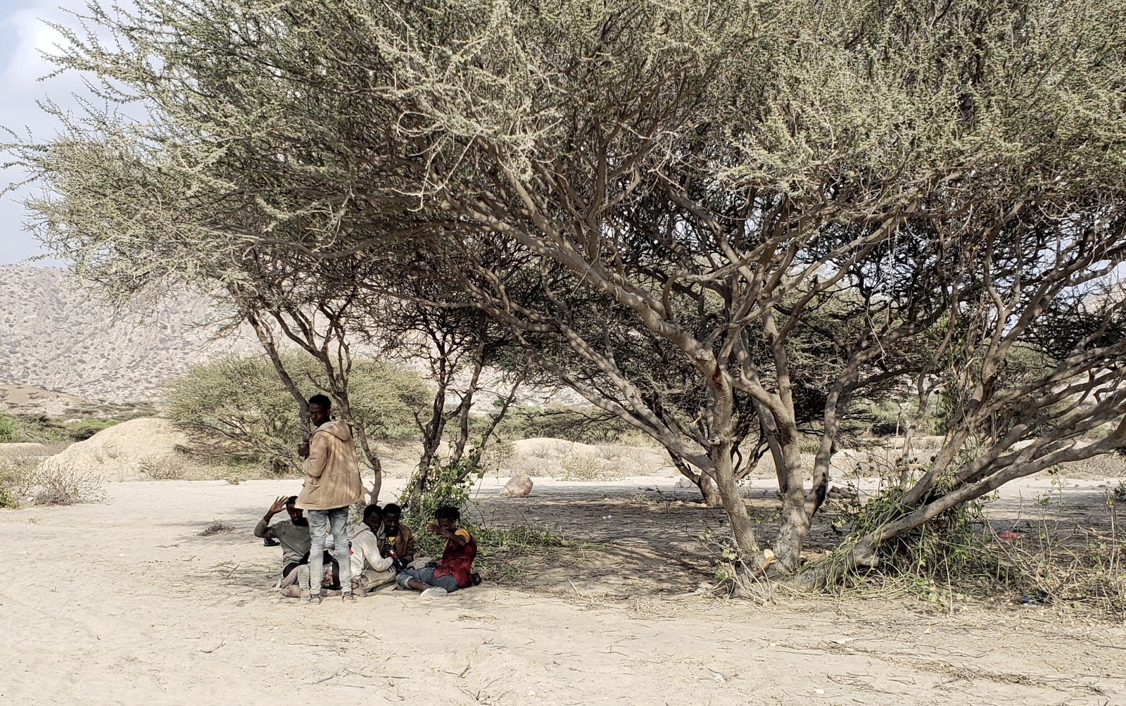 Visão | Corno de África é a região mais vulnerável às alterações climáticas