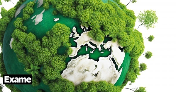 O avanço da sustentabilidade ambiental nas empresas
