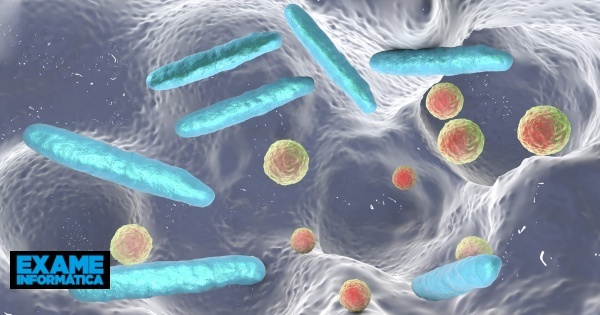 Cientistas intrigados com ‘obeliscos’ encontrados no corpo humano