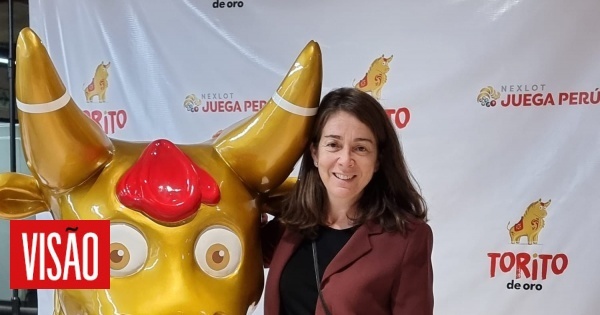 Ana Vitória Azevedo demitiu-se de vice-provedora da Santa Casa de Lisboa