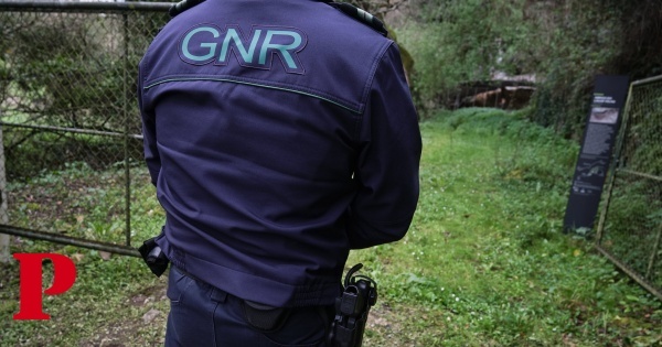 Trinta detidos em operação de combate ao tráfico de droga em Aveiro, Porto e Braga