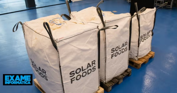 Startup finlandesa produz comida a partir do ar e energia solar