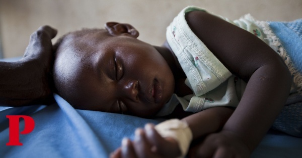 Crise climática pode reduzir malária na África Ocidental (mas há um lado mau)