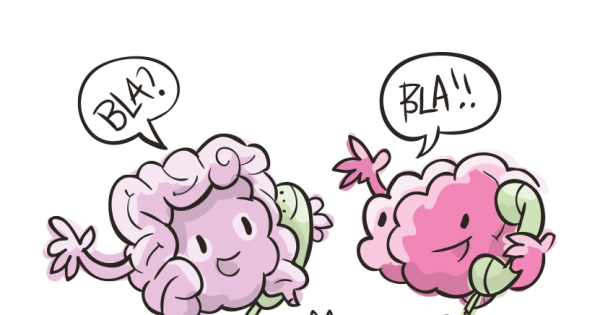 Ansiedade, irritação e… intestino? A ciência diz que sim