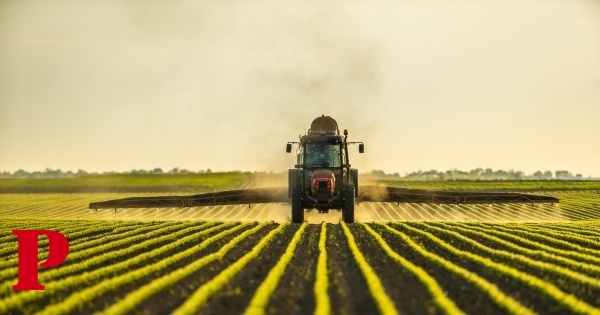 “É imoral que a União Europeia exporte pesticidas que são proibidos aqui”