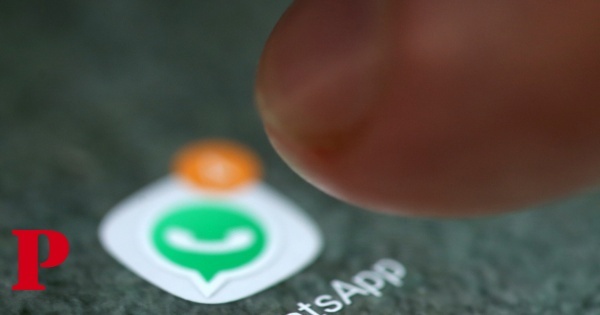 Desinformação pode ser denunciada para o WhatsApp da Comissão Nacional de Eleições
