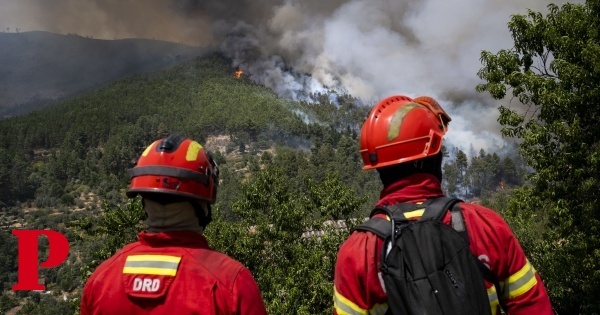 Exercício com 300 operacionais testa resposta a incêndios rurais em Portugal