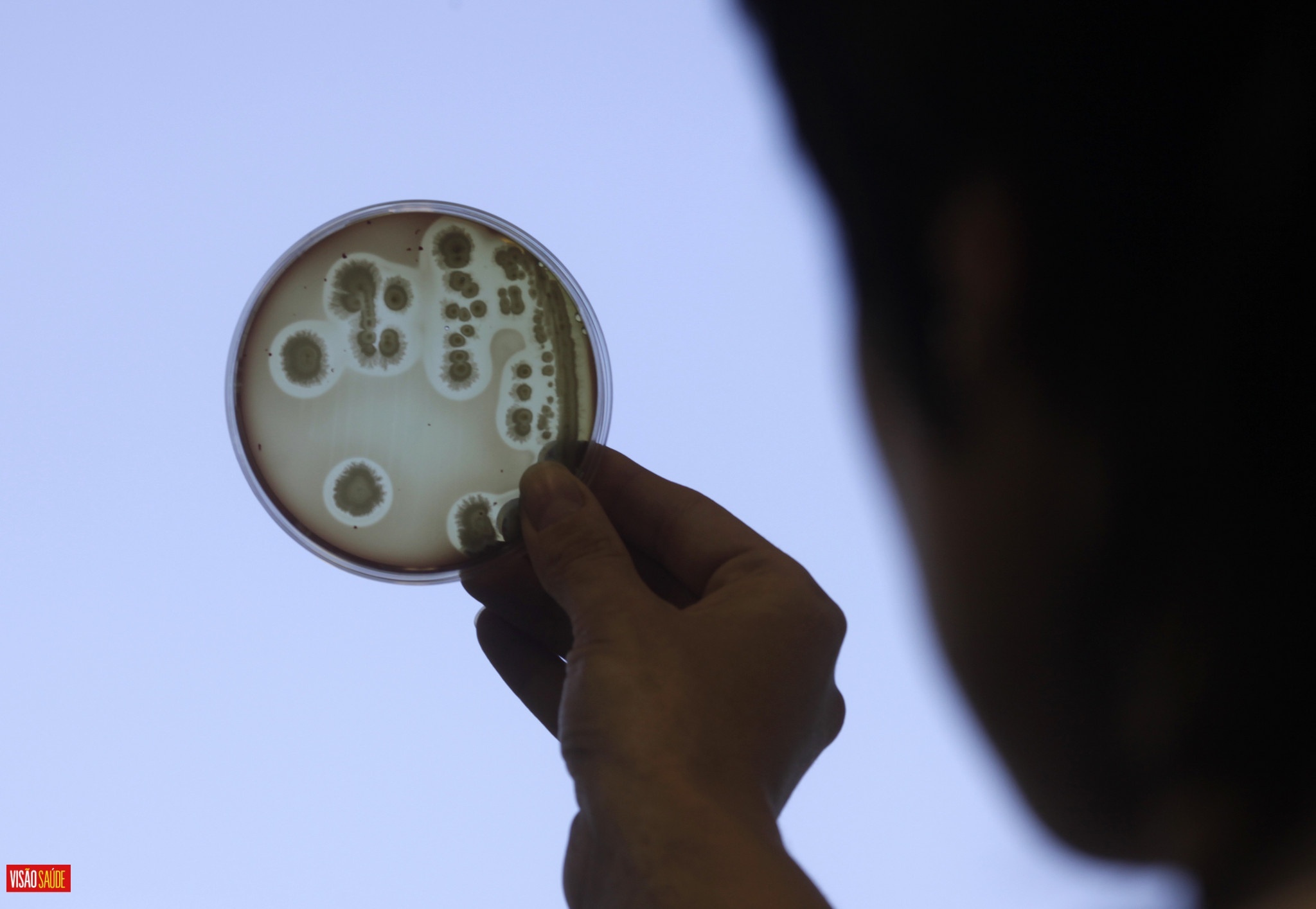 OMS atualiza lista de bactérias que ameaçam saúde humana por resistirem aos antibióticos