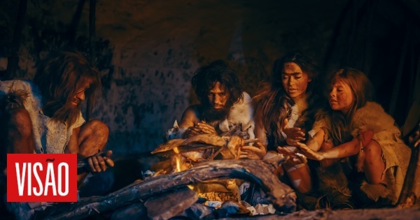 Encontrado fóssil de criança neandertal que apresenta sinais de síndrome de Down