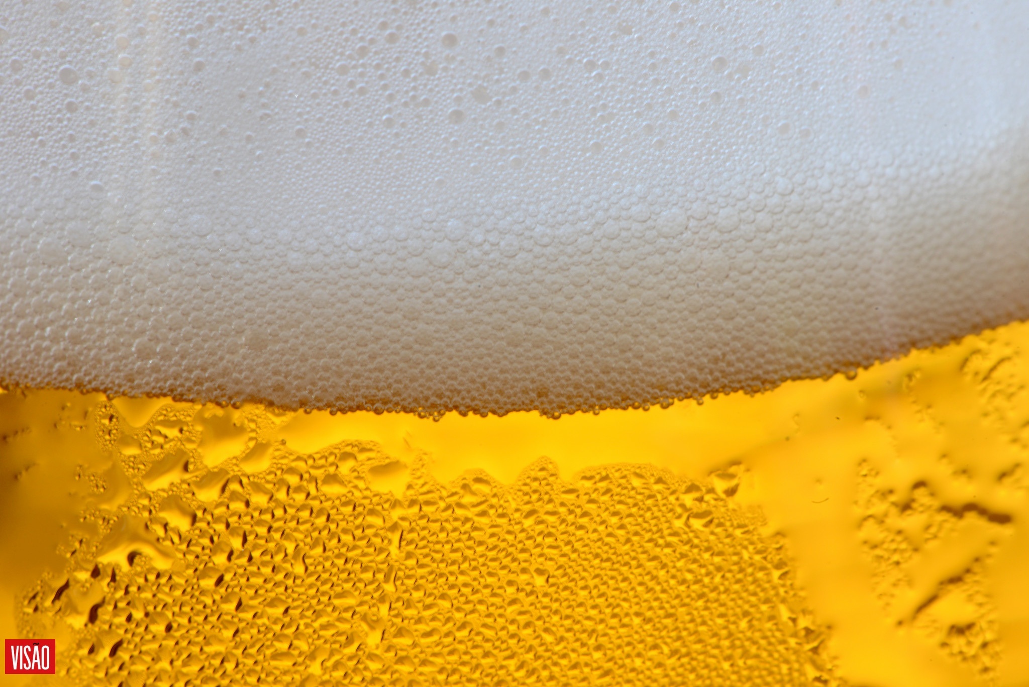 10 benefícios da cerveja, segundo a ciência