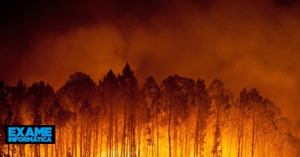 IA ajuda a prever a evolução de incêndios florestais com maior precisão