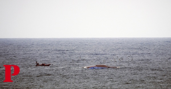 Naufrágio ao largo da Marinha Grande: sobreviventes resgatados por pescadores