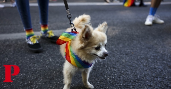 Marcha do orgulho LGBTI+ “pinta” Avenida da Liberdade com as cores do arco-íris