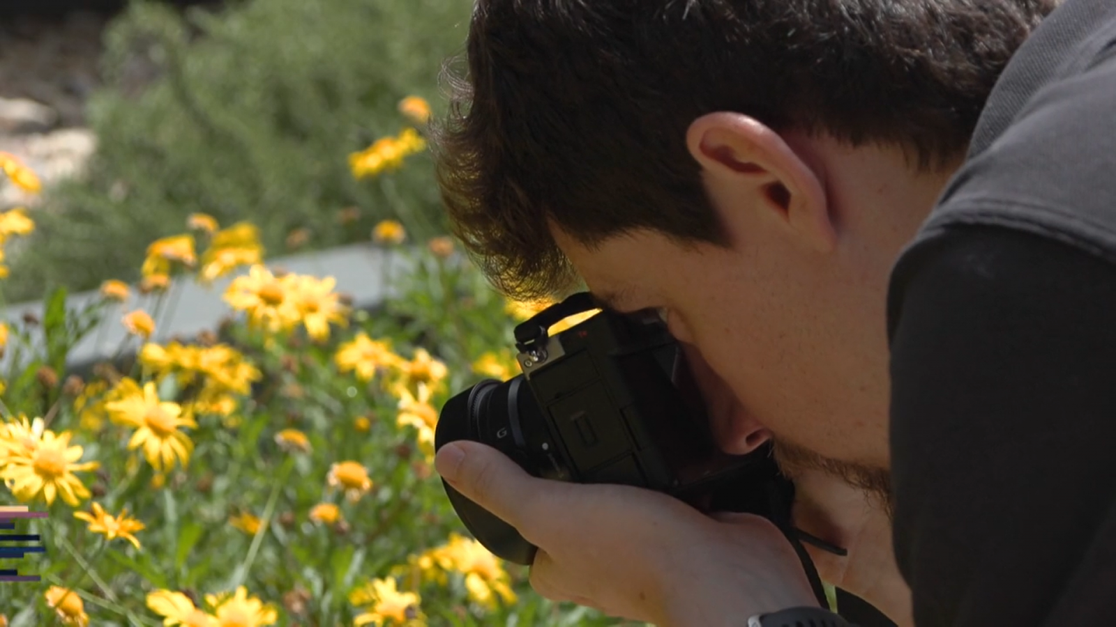 Sony a7C II