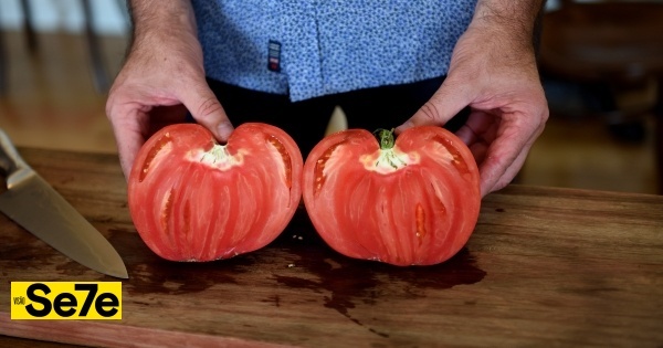 Em agosto, o tomate-coração-de-boi do Douro é um festim nas mesas da região