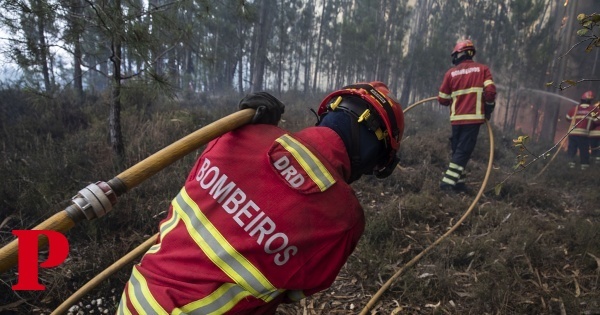 Incêndio em mato em Fornos de Algodres mobiliza dez aeronaves