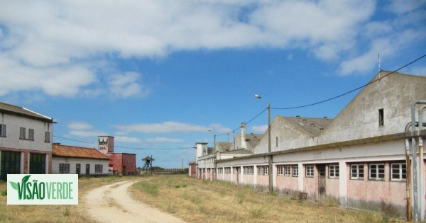 Riberalves altera projeto da Praia dos Moinhos para reduzir impacto ambiental